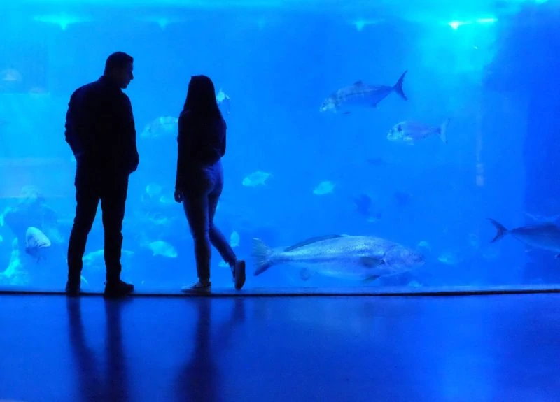 Aquarium