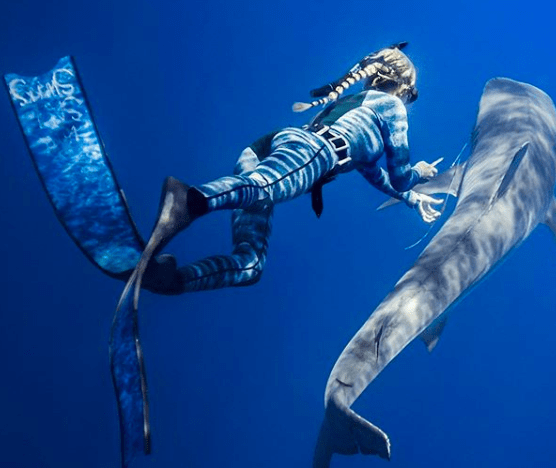 One Ocean Diving