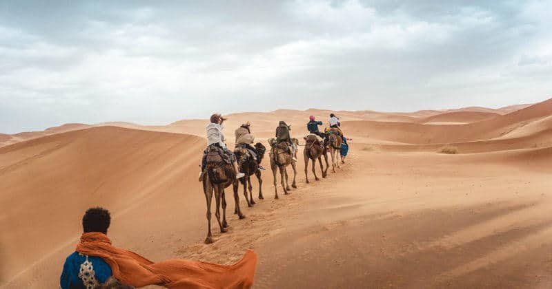 A Glossary of Terms for the Multi-Day Tours Industry Douglas Quinby Arival