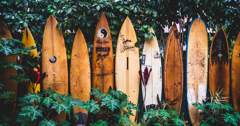 FareHarbor Adds Kayak.com to Distribution Network, Putting Spotlight on Tech Providers as Distributors Ben Finch Arival