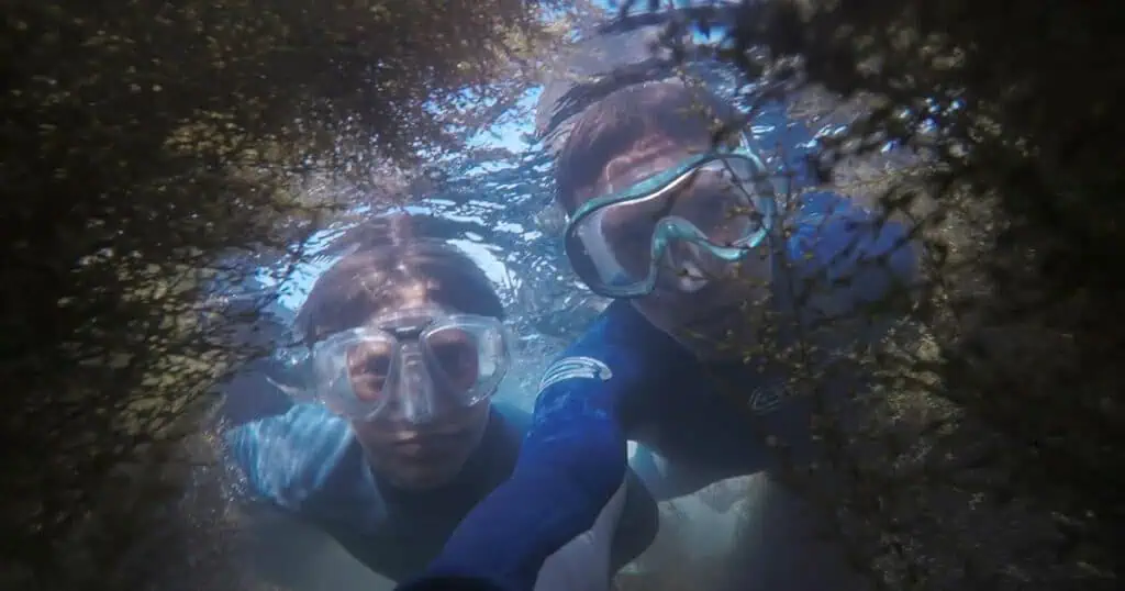 Two people snorkeling underwater, wearing masks and looking at the camera. They are surrounded by aquatic plants and bubbles, creating a vibrant underwater scene.
