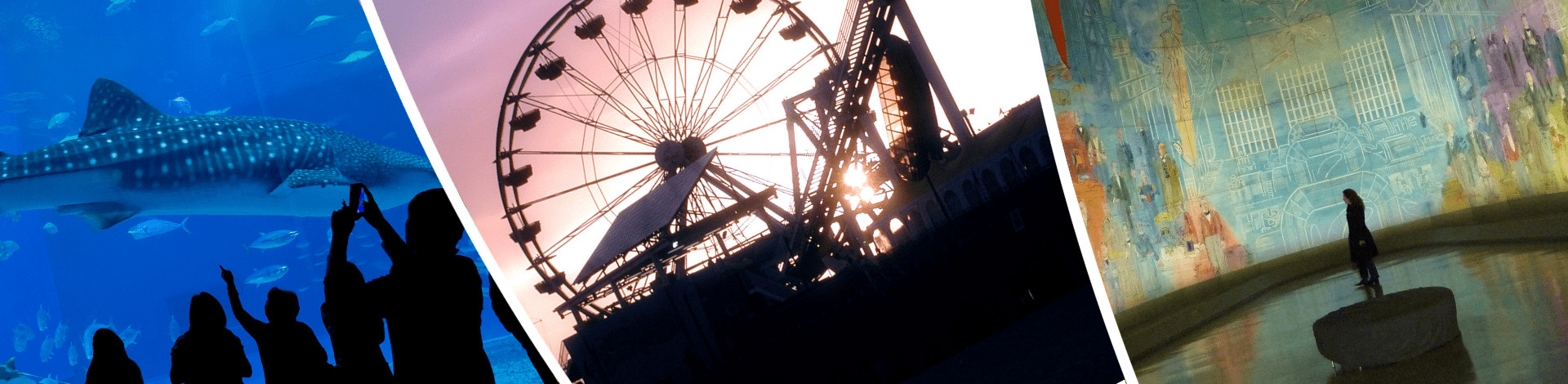 Nine Attractions Trends for 2022